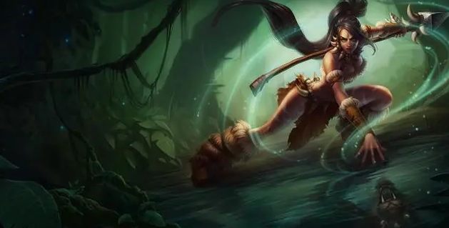 特定项目或 特定项目或